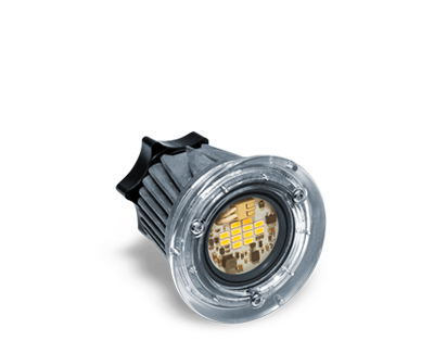The FM2A Module: 6W/1000 lumen: Replaces traditional temporary string lights (100w a-lamp)